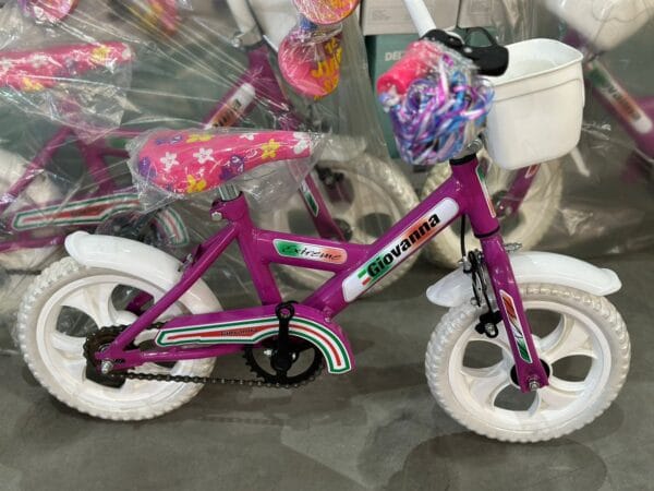 bicicleta RD12 Giovan